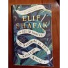 Elif Shafak - 10 minutes 38 seconds in this strange world