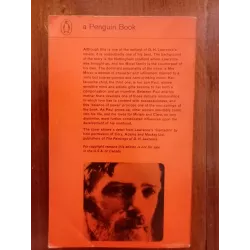 D. H. Lawrence - Sons and lovers