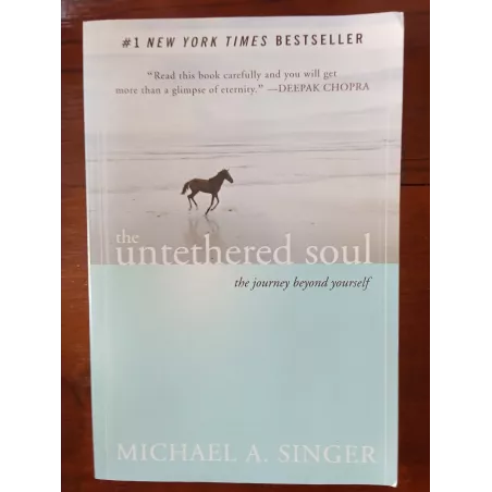 Michael A. Singer - The untethered soul