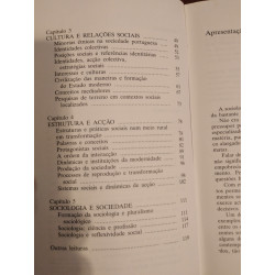 António Firmino da Costa - O que é Sociologia