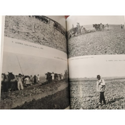 Maria Micaela Soares - A mudança na cultura rural portuguesa