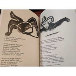 Regina Guimarães e Carlos Mendonça - Lapso