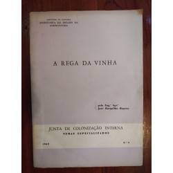 José Rasquilho Raposo - A rega da Vinha