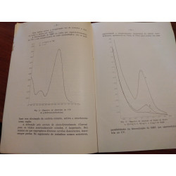 Publicação De Vinea et Vino, Setembro 1968, Vol.4