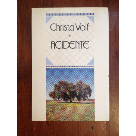 Christa Wolf - Acidente