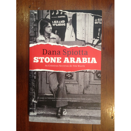 Dana Spiotta - Stone Arabia, as crónicas secretas de Nik Worth