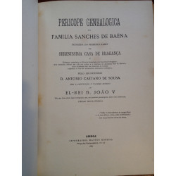 Pericope Genealogica da Família Sanches de Baêna